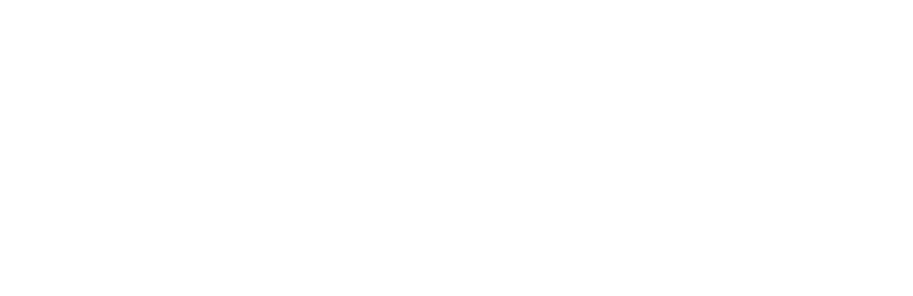 Buddy Scheme